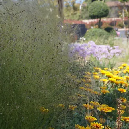 Les Jardins De Santa Giulia - Charmante chambre dhte 1-2