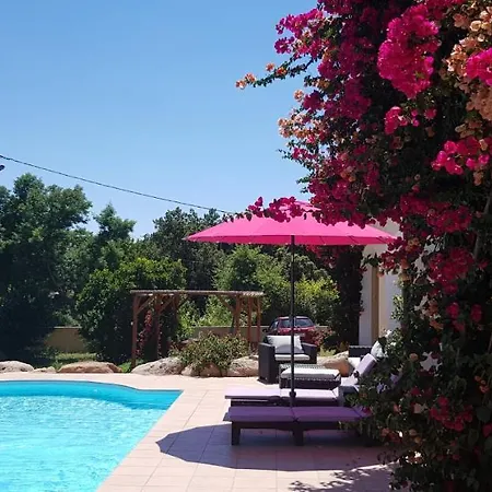 Cyrnea B&B - Adults Only-2